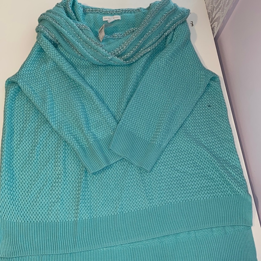 Teal Acrylic Sweater with Cowl-neck